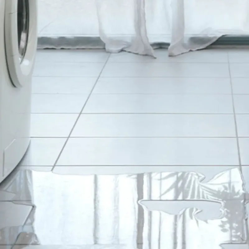 Appliance Leak Cleanup in The Hills, TX