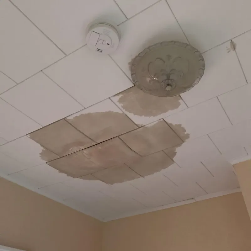 Ceiling Water Damage Repair in The Hills, TX