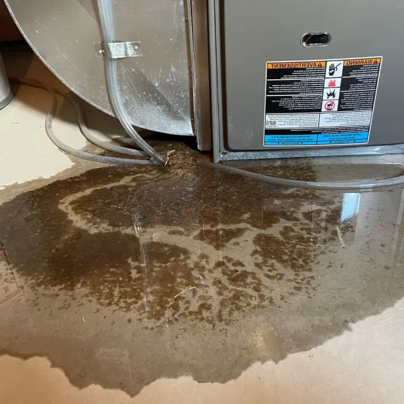 Pipe Burst and Leak Restoration in The Hills, TX